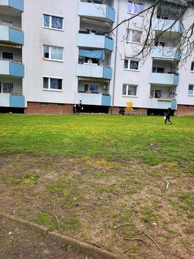 Foto - 4 Zimmer Erdgeschoßwohnung in Wolfsburg