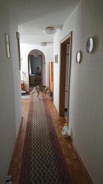 Foto - Einfamilienhaus in Einbeck zum Kaufen