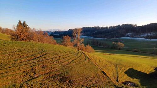 Foto - Wohnung EG 3 Zimmer Mietwohnung