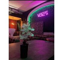 Gastronomie Restaurant Bar - 3.800,00&nbsp;EUR Kaltmiete, ca.&nbsp; 380,00&nbsp;m&sup2; in Schweinfurt (PLZ: 97421) Gartenstadt