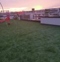Foto - 3 Zimmer Terrassenwohnung zur Miete in Oberhausen