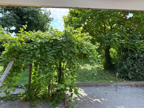 Foto - 6 Zimmer Reihenhaus zum Kaufen in Paderborn