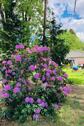 Foto - Einfamilienhaus in Beelitz zum Kaufen