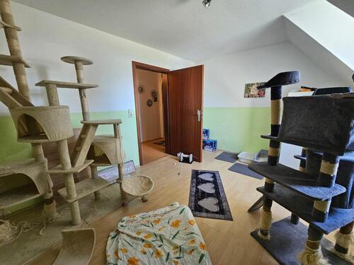 Foto - Etagenwohnung in Bad Staffelstein