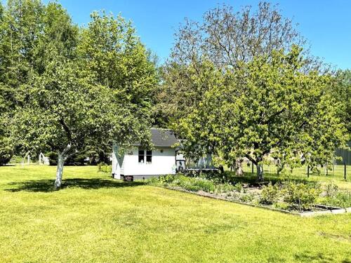 Foto - Ferienwohnung Ferienhaus Osterurlaub