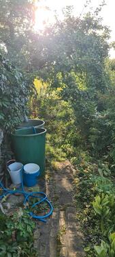 Foto - Grundst&uuml;ck zur Miete in Apolda