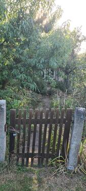 Foto - Grundst&uuml;ck in Apolda