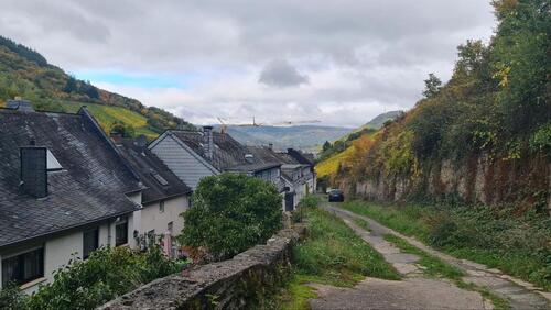 Foto - 5 Zimmer Einfamilienhaus in Traben-Trarbach