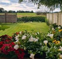 Einfamilienhaus in traumhafter Lage mit idyllischen Wäldchen - Handewitt