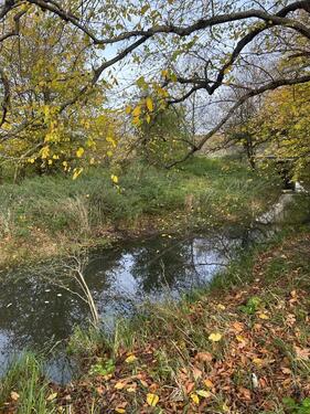 Foto - Grundst&uuml;ck zur Miete in Nauheim