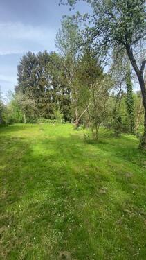 Foto - FreizeitObst Grundstück zur PachtMiete in Kronberg im Taunus