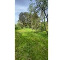 FreizeitObst Grundstück zur PachtMiete in Kronberg im Taunus