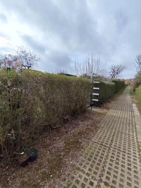 Foto - Grundst&uuml;ck zur Miete in Erfurt