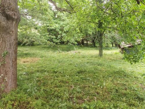 Foto - Gartengrundstück in Heppenheim zu verpachten – mitten in den Wein