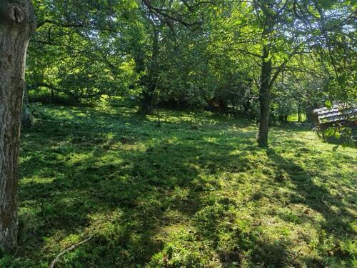 Foto - Grundst&uuml;ck zur Miete in Heppenheim (Bergstraße)