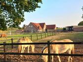 Foto - SCHÖNES Hof 2 Fam Haus für Gross Fam, Pferde-, Tier liebhaber.