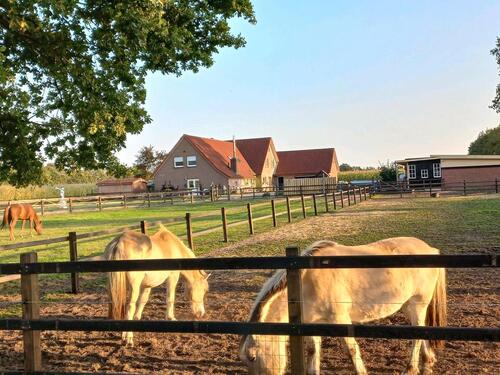 Foto - SCHÖNES Hof 2 Fam Haus für Gross Fam, Pferde-, Tier liebhaber.