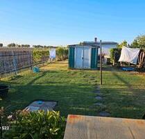 Pachtgarten - 2.000,00&nbsp;EUR Kaltmiete, ca.&nbsp; 0,00&nbsp;m&sup2; in Halle (Saale) (PLZ: 06128) Gesundbrunnen