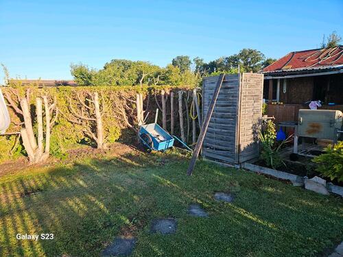 Foto - Grundstück in Halle (Saale)