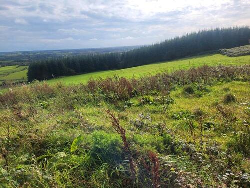 Foto - 8 Zimmer Einfamilienhaus zum Kaufen in Homburg