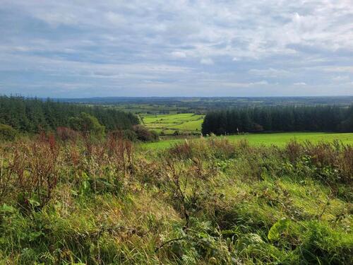 Foto - 8 Zimmer Einfamilienhaus in Homburg