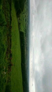 Foto - Einfamilienhaus in Homburg zum Kaufen