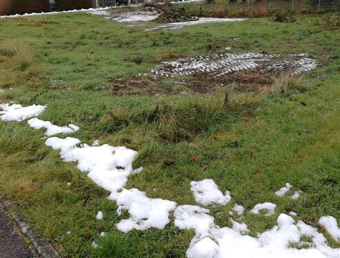 Foto - Grundst&uuml;ck zur Miete in Dollnstein