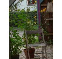 Wohnung in Rethwisch - 470,00&nbsp;EUR Kaltmiete, ca.&nbsp; 73,00&nbsp;m&sup2; in Admannshagen-Bargeshagen (PLZ: 18211)