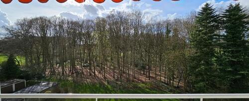 Foto - 2 Zimmer Etagenwohnung in Gladbeck