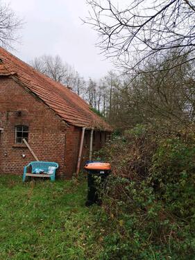 Foto - 5 Zimmer Einfamilienhaus zum Kaufen in Westerholt
