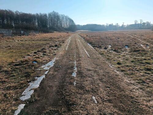 Foto - Grundst&uuml;ck in Elsterwerda