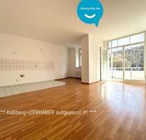 Kaßberg • offenes Wohnen • Balkon • 2 Zimmer • Tiefgarage • zur Miete • schnell sein - Chemnitz Kapellenberg
