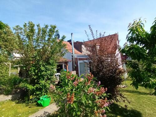 Foto - 4 Zimmer Doppelhaushälfte in Hitzacker (Elbe)