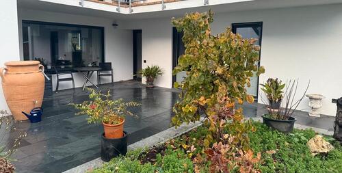 Foto - Etagenwohnung zur Miete in Bad Bellingen