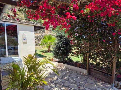 Foto - Ferienwohnung Teneriffa Norden - 50,00&nbsp;EUR Kaltmiete,