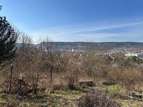 Foto - Garten ab 1.4. in Jena Ost zu vermieten für 80 EuroMonat