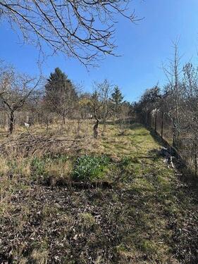 Foto - Grundst&uuml;ck zur Miete in Jena
