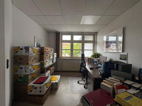 Foto - andere in Schwalmstadt