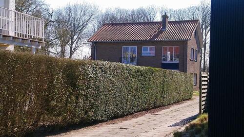 Foto - andere zur Miete in Wesseling