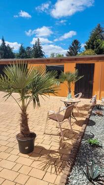 Foto - 7 Zimmer Einfamilienhaus in Wanzleben-Börde