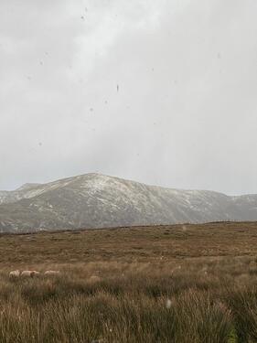 Foto - andere in Bad Oeynhausen