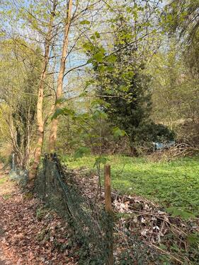 Foto - Grundst&uuml;ck in Marburg zur Miete
