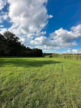 Foto - Landwirtschaftliches Grundstück in Reichenbach Hermdorf