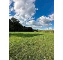 Landwirtschaftliches Grundstück in Reichenbach Hermdorf - Dietramszell