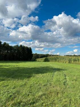 Foto - Grundst&uuml;ck in Dietramszell zur Miete