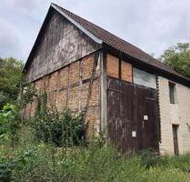 Scheune ausbaufähig auf 2800 qm Land Südhang , Weinberg möglich - Oderberg