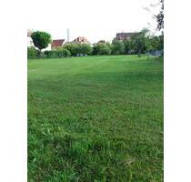 Grundstück zur Miete für Tiny oder Modulhaus - Schramberg