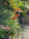 Foto - 7 Zimmer Einfamilienhaus in Rheinfelden (Baden)
