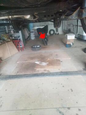 Foto - andere zur Miete in Bissingen