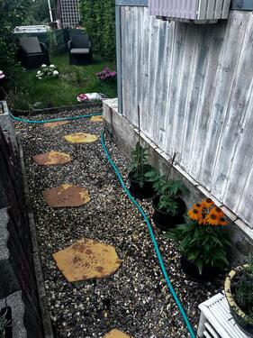 Foto - Grundstück in Eisleben (Lutherstadt) zur Miete